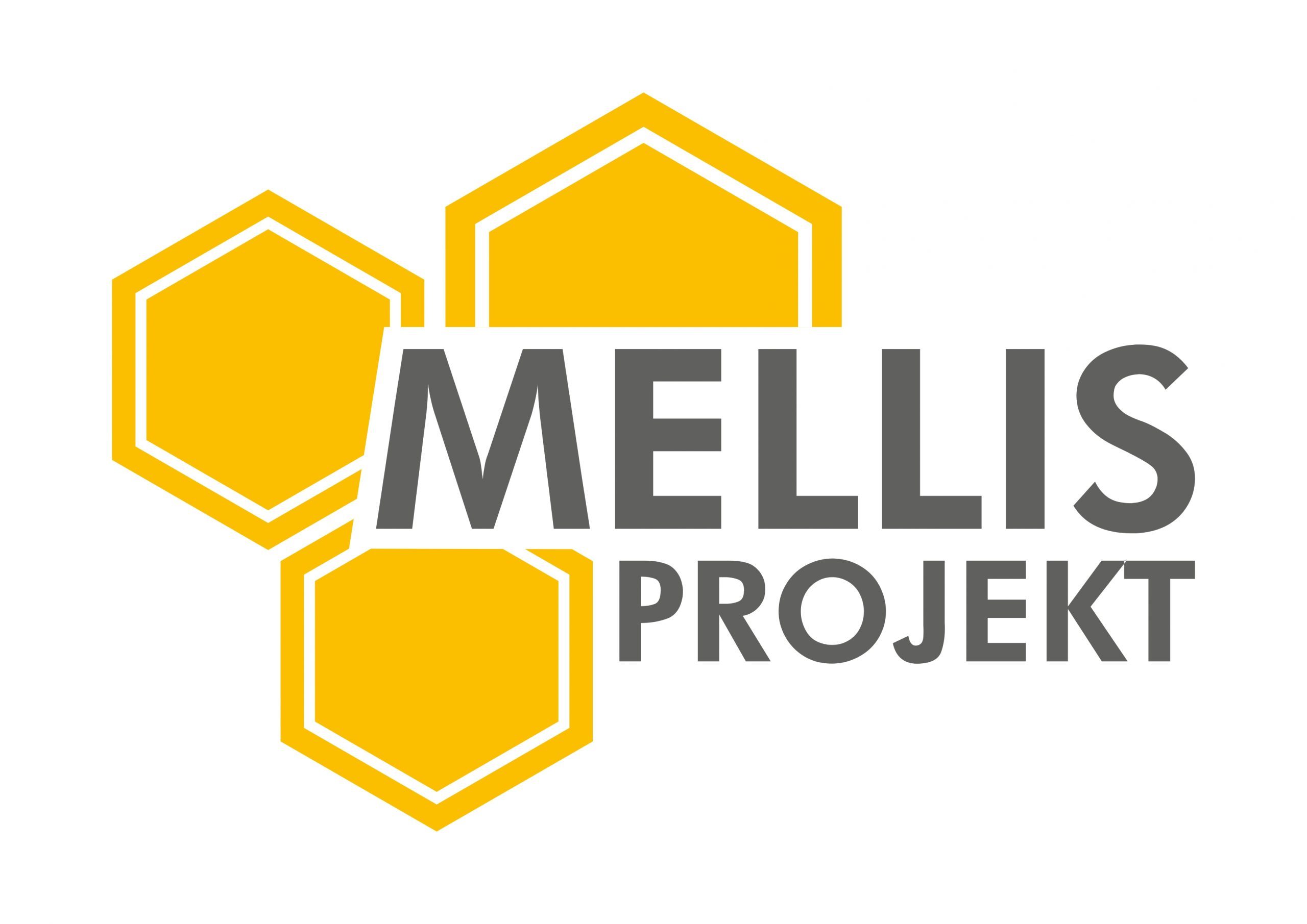 Mellis projekt